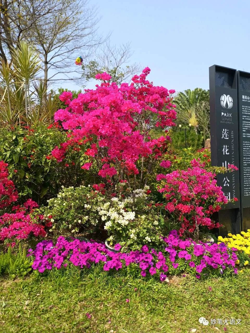 二十年后的母校300字,二十年后的母校500字优秀作文