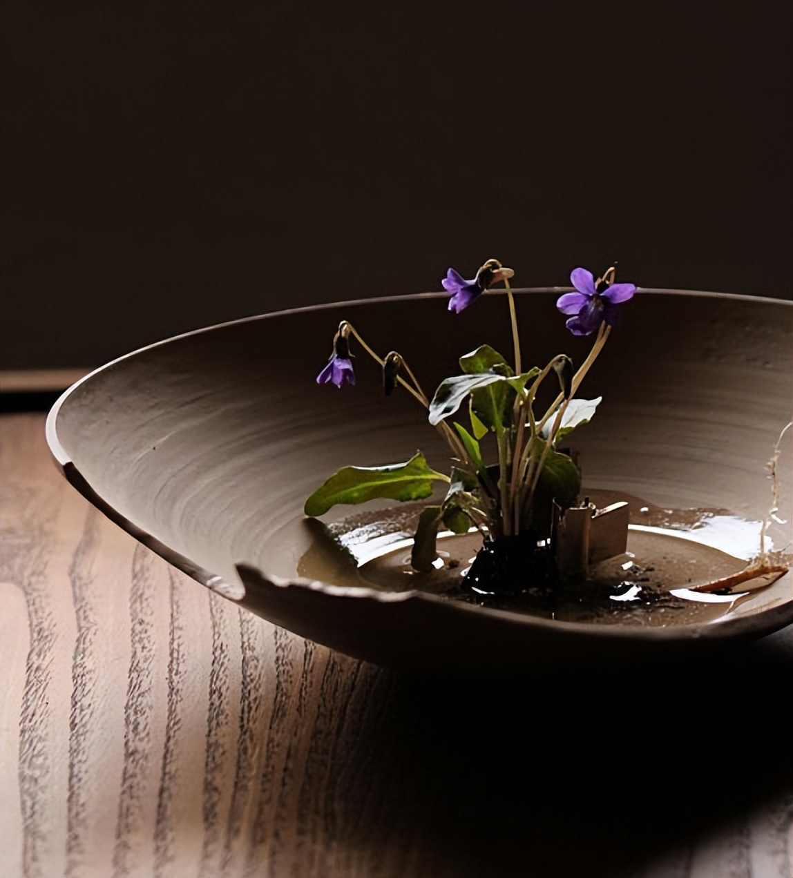 生活没有捷径只能一步一个脚印,生活有捷径