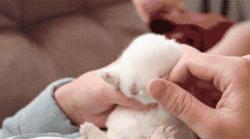 小哥也太菜了，不但没打中一个，还摔倒了，而且这不是足球