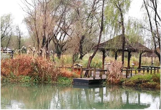 杭州好玩的地方和景点排行榜,杭州周边好玩的地方景点免费