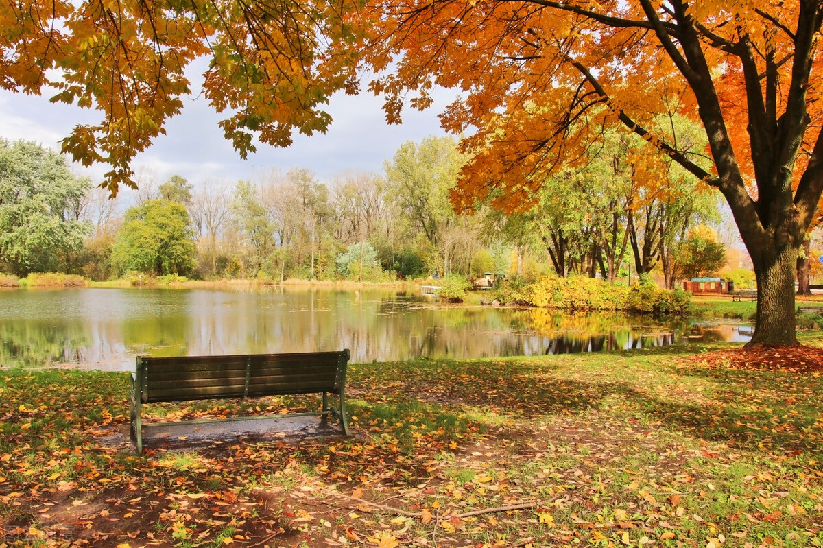 suitfit和match的用法,fitsuitmatch的区别简单记法