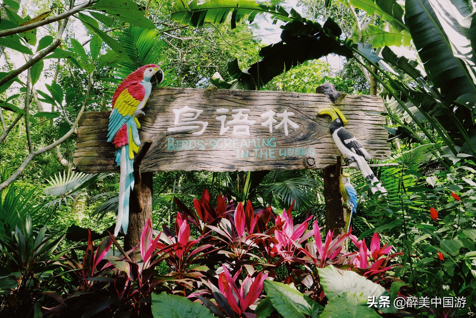 海南热带植物园推荐,海南岛特色植物