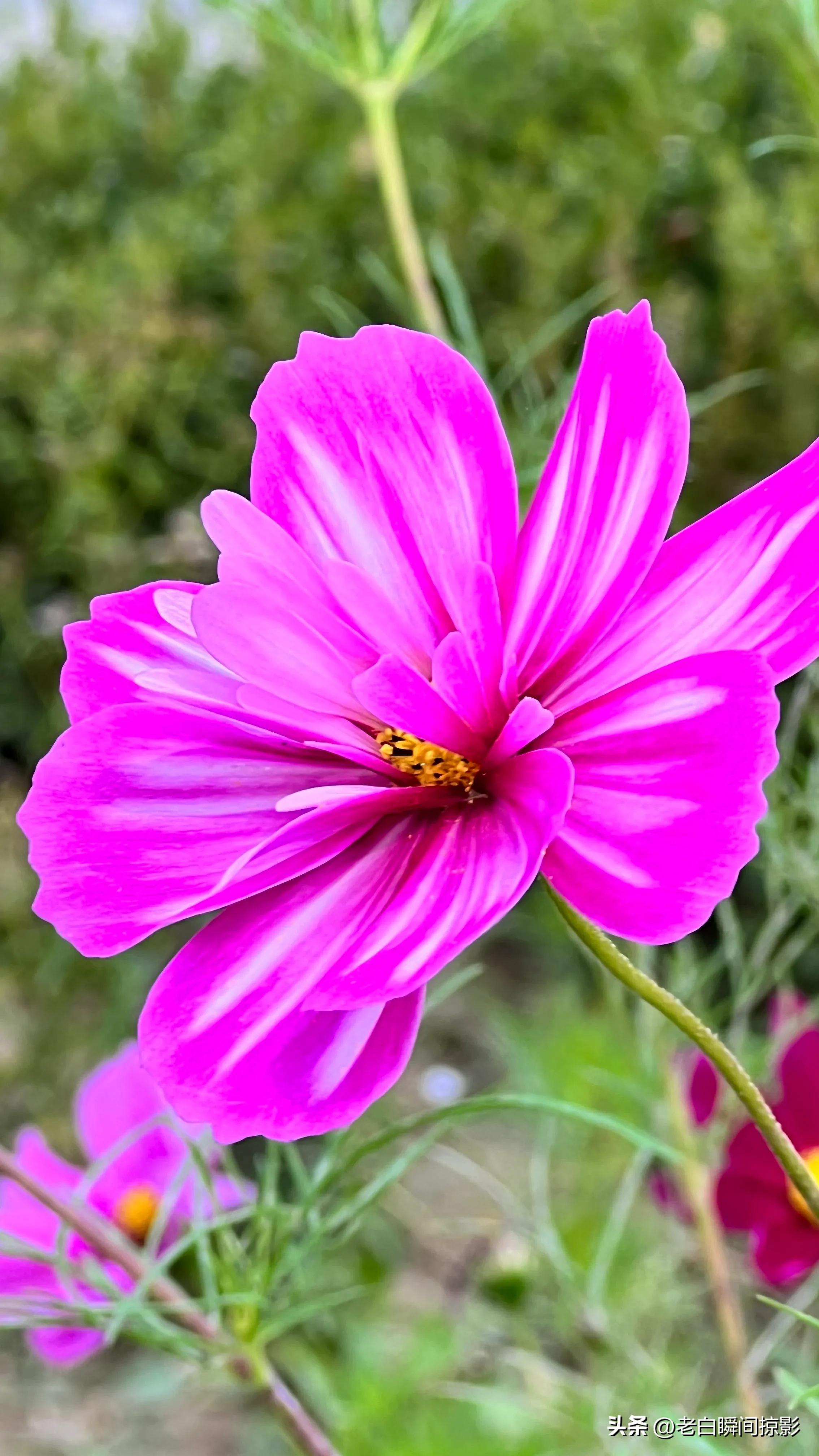 人不能闲着一闲就会多事,人不能闲着一闲就想太多