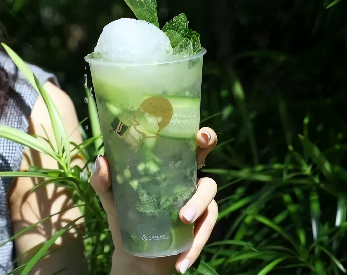 苦瓜柠檬茶6斤,苦瓜柠檬茶价格表