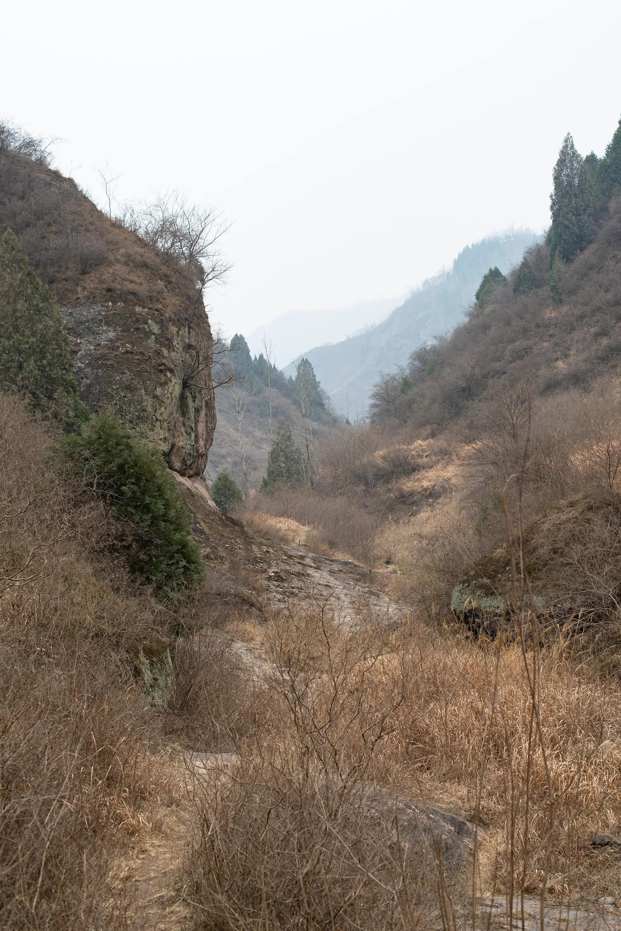 尼康调出油润感,尼康油润点的镜头