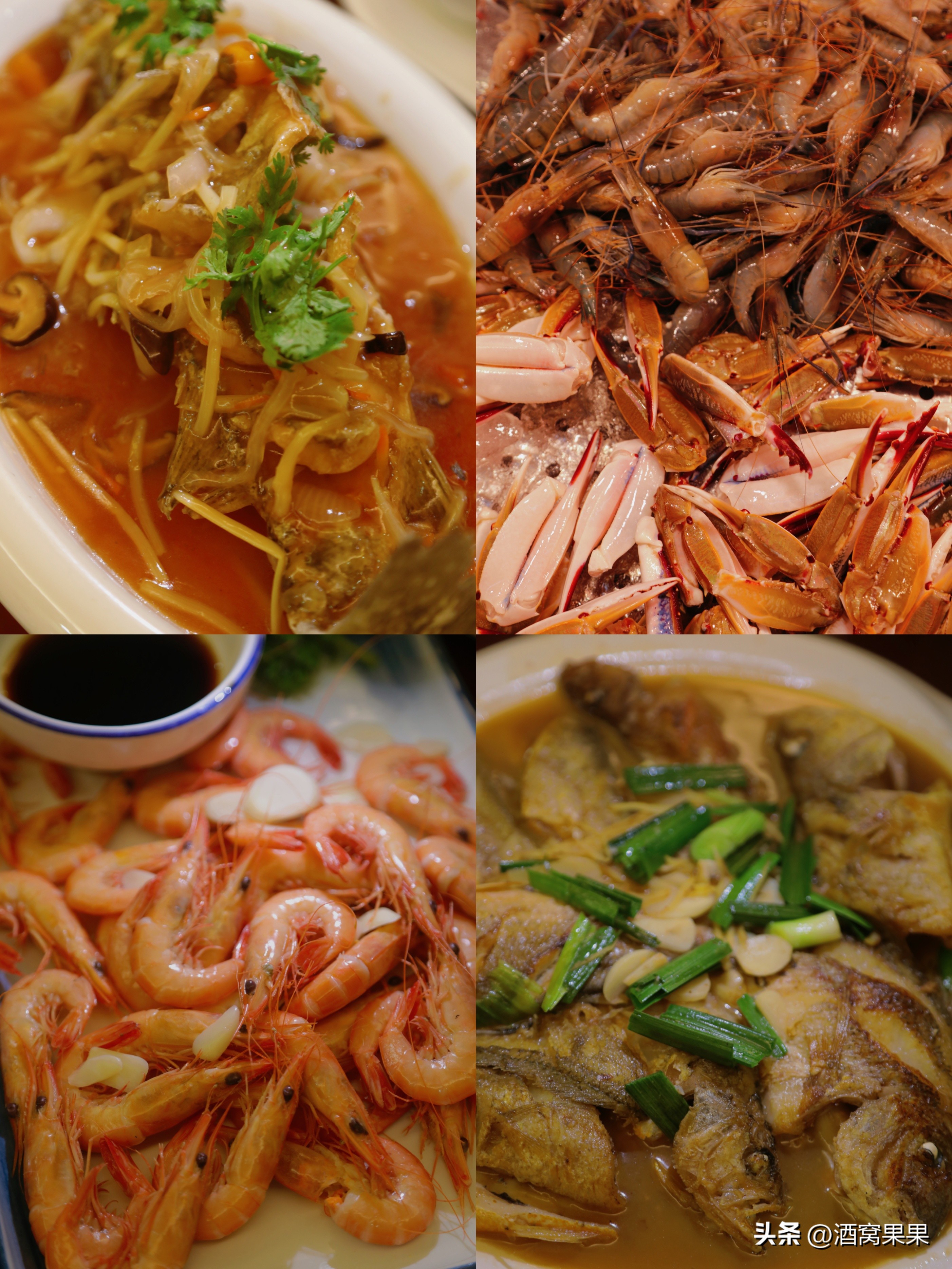 福鼎两天一夜旅游攻略,福鼎茶漫步茶园体验采茶之旅