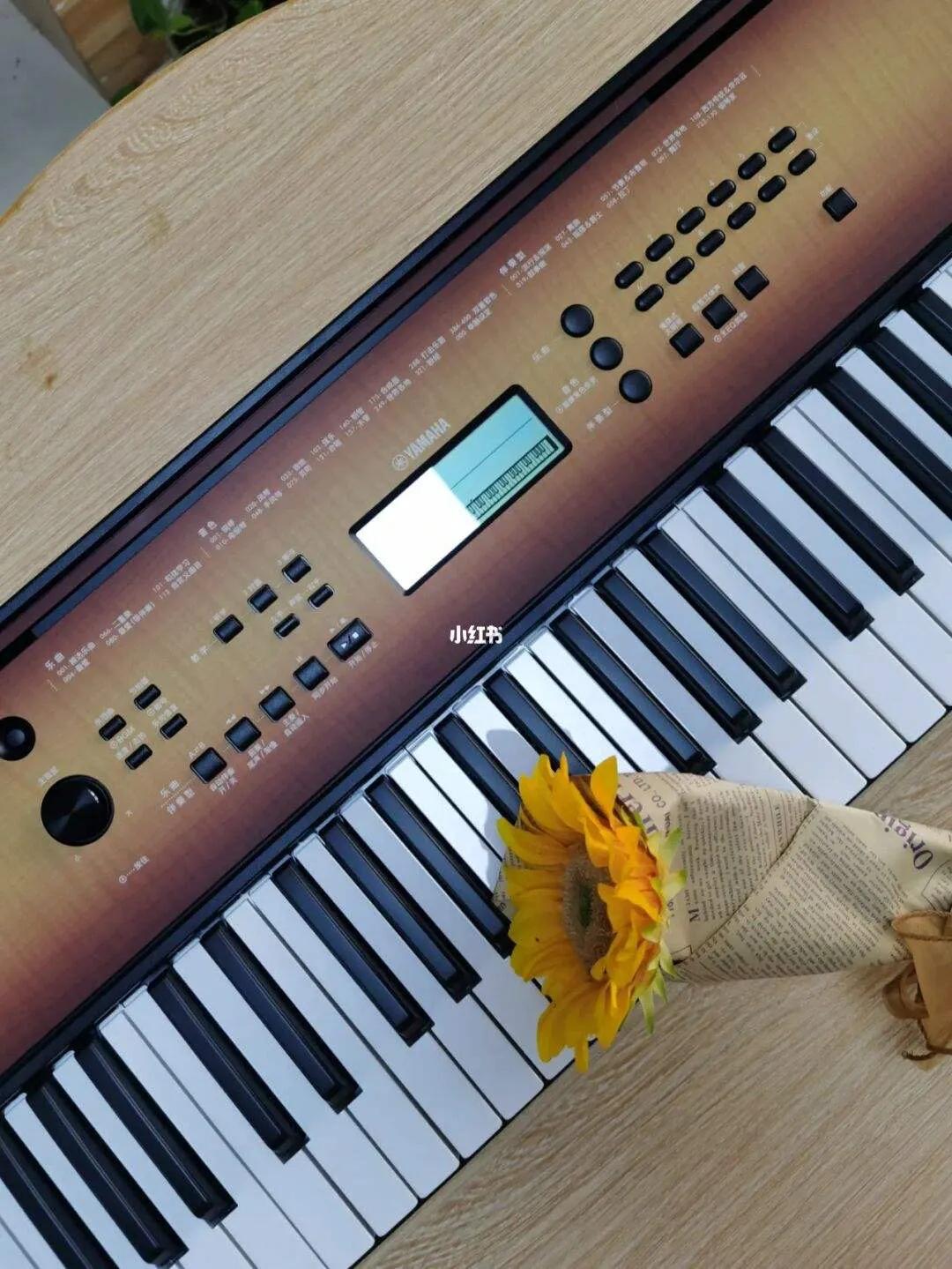 成人学琴买电子琴还是钢琴比较好,儿童启蒙推荐学电子琴还是钢琴好