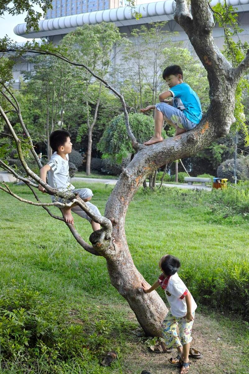 农村里哪里螃蟹最容易找,农村小河边挖螃蟹