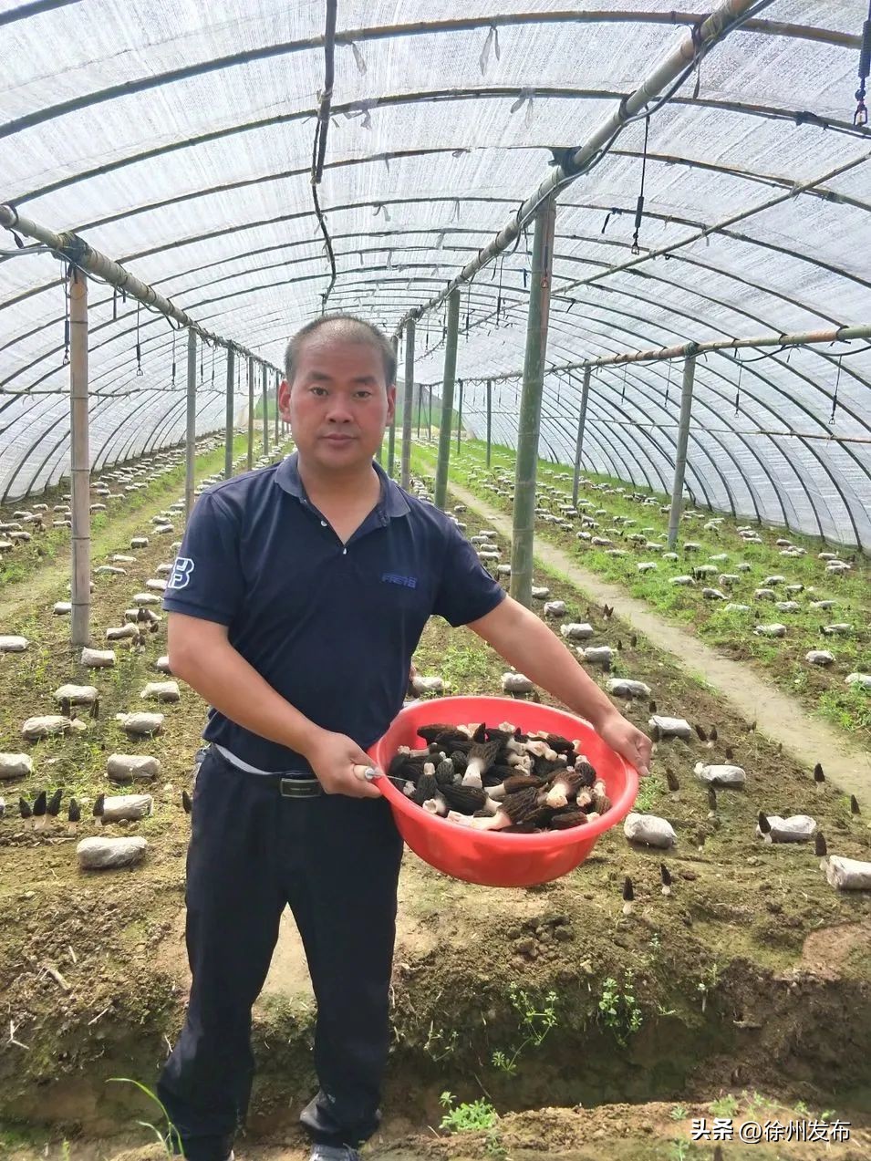 徐州十佳创业之星2020,徐州市创业之星