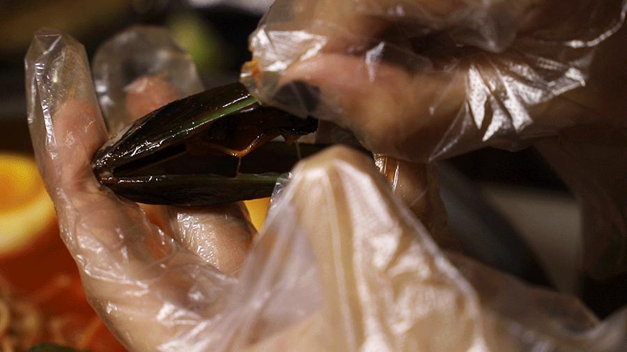 泉州平价韩料,泉州探店最便宜的韩料店