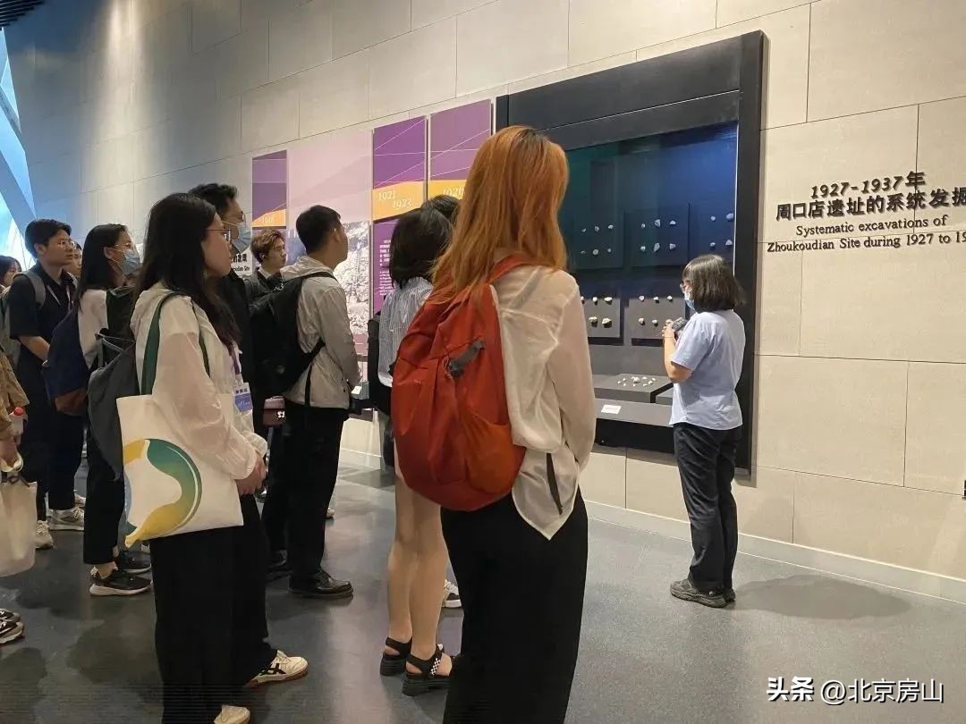 青创赛挑战杯,青创北京挑战杯是由指导老师带吗