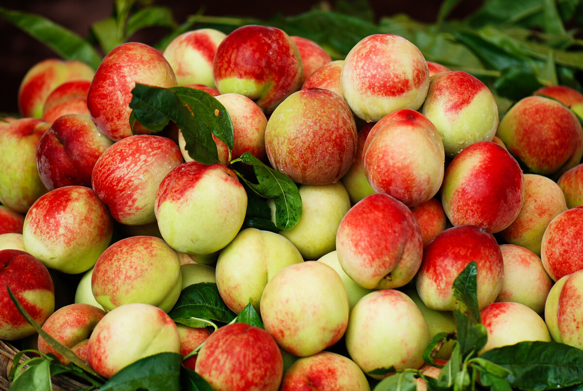 先别点开—和水果有关的成语，你能想出来几个？