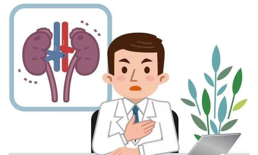 肾虚会引起哪些症状吃什么好,脾虚肾虚的症状表现有哪些