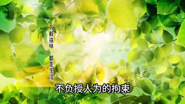 万般滋味都是生活经典语录,万般滋味都是生活txt