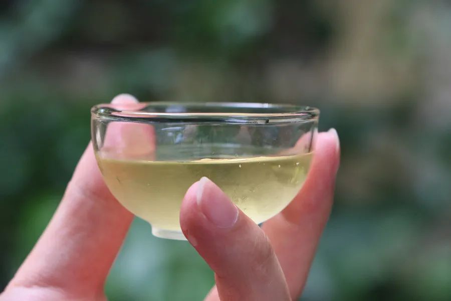 碧螺春泡的茶红色,碧螺春和鸭屎香