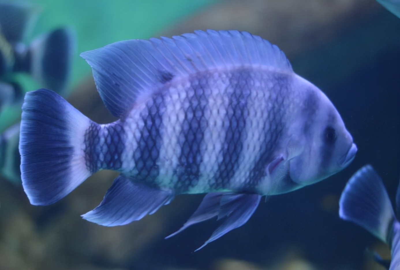 金鹰海洋世界常州万达,常州金鹰海洋世界怎么样好玩吗