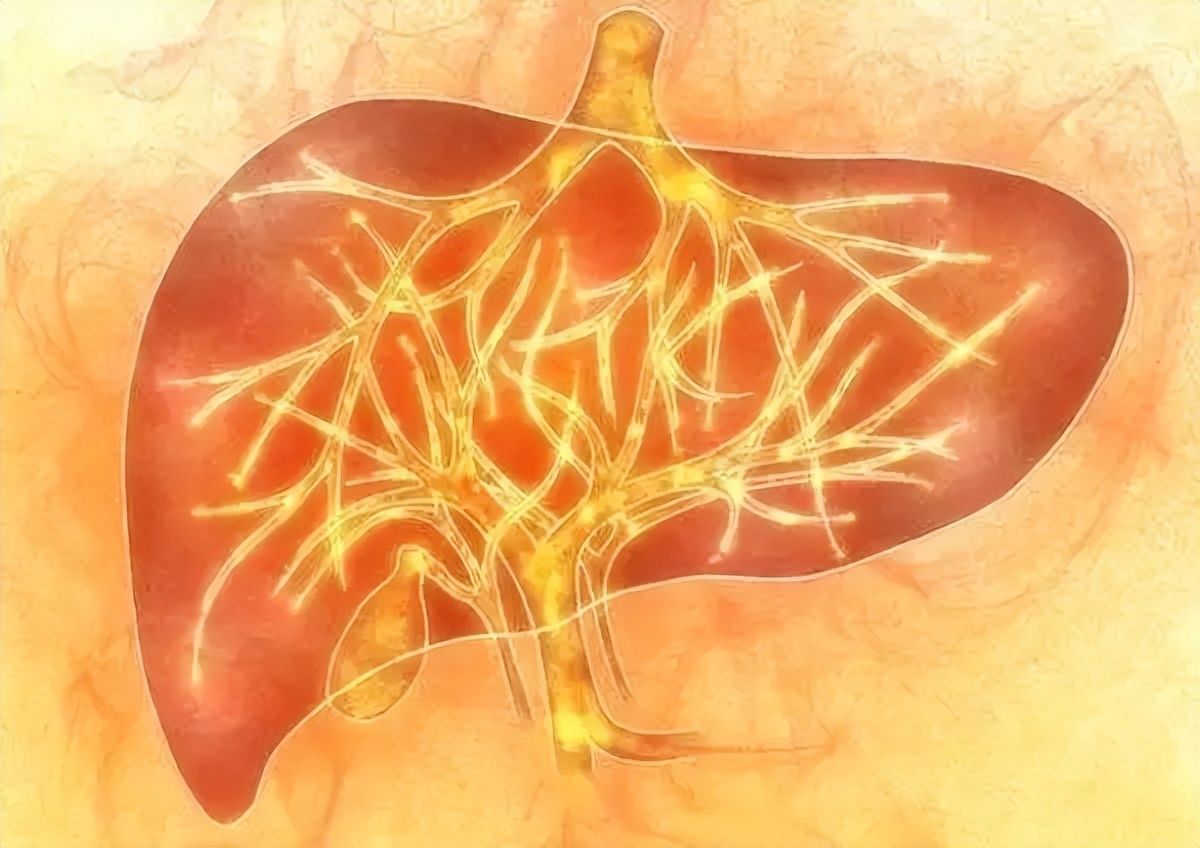 肝脏占位原因不明,肝脏占位不好的结果是什么