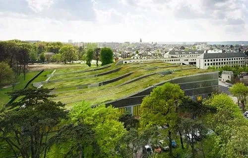 绿色屋顶在绿色建筑中的作用,温哥华典型建筑