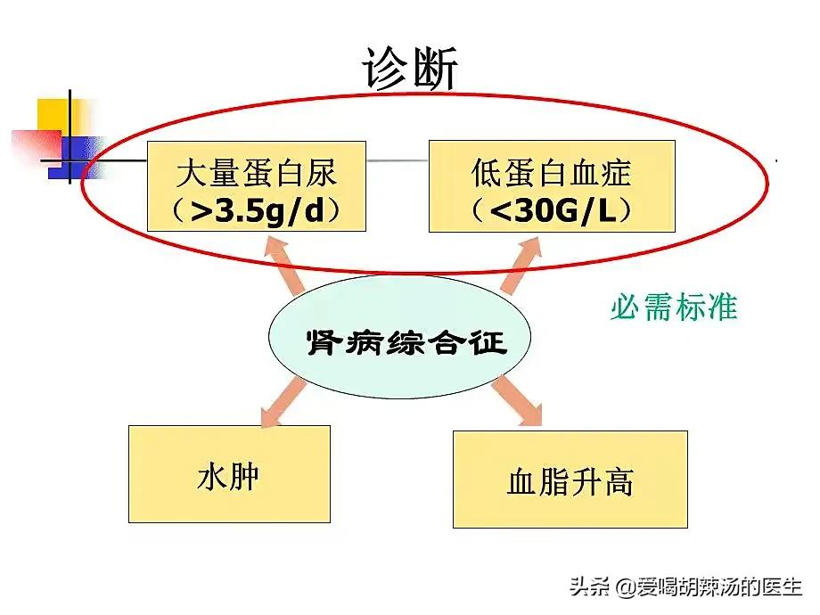 内科学泌尿系统疾病知识点总结,内科学肾病知识点