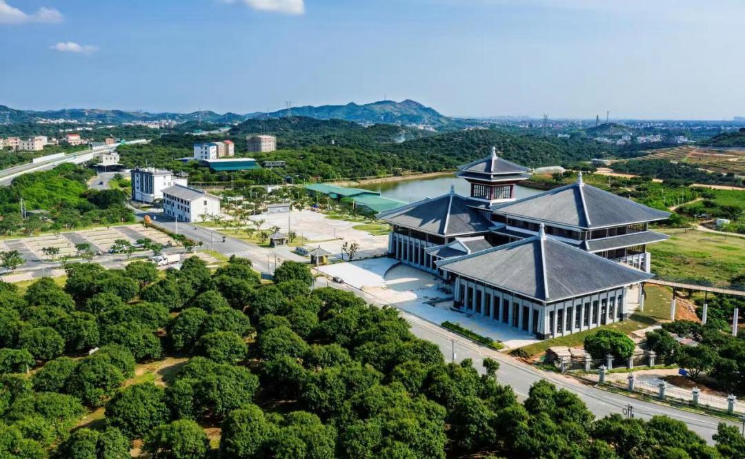 茂名要打造中国荔枝种业“硅谷”！走，实地探访国家荔枝种质资源圃！
