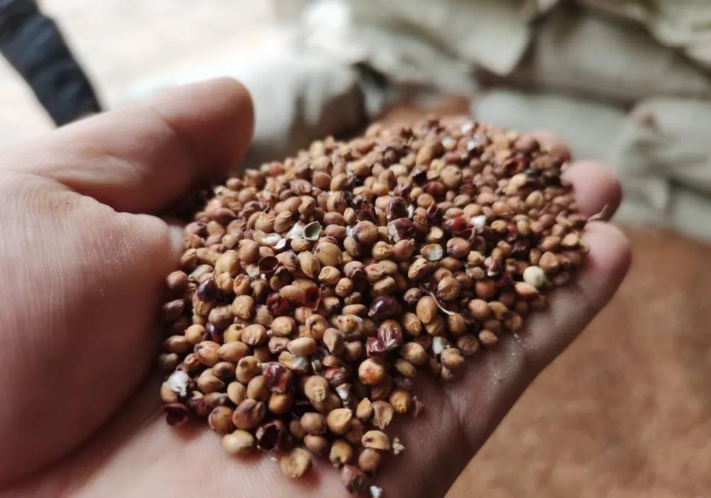 梦之蓝属于江苏人酒吗,江苏的酒是梦之蓝还是海之蓝