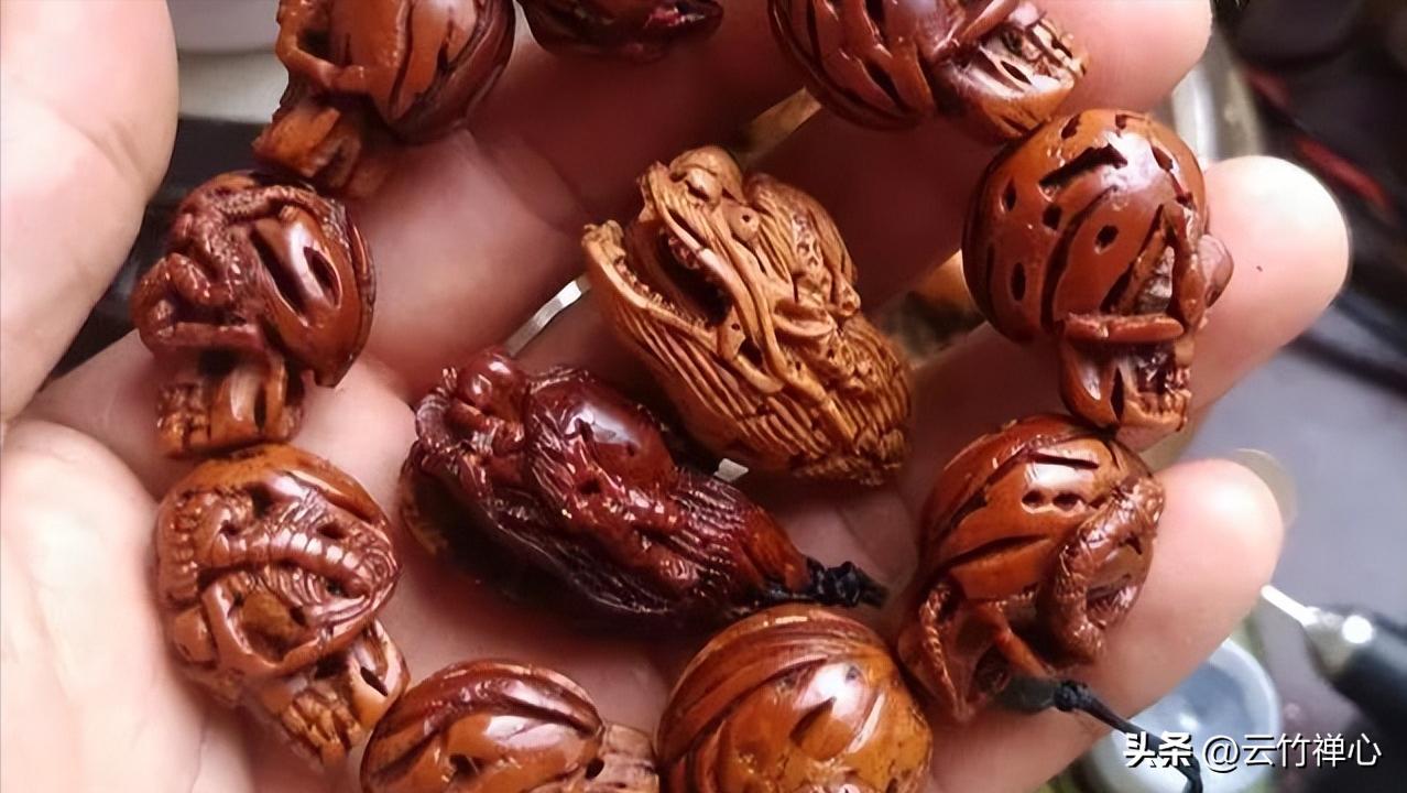 金刚菩提开裂如何处理,金刚菩提开裂怎么办