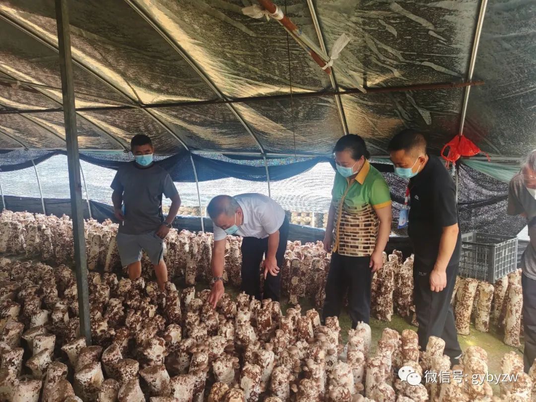 疫情防控后勤保障组,督查疫情防控物资供应