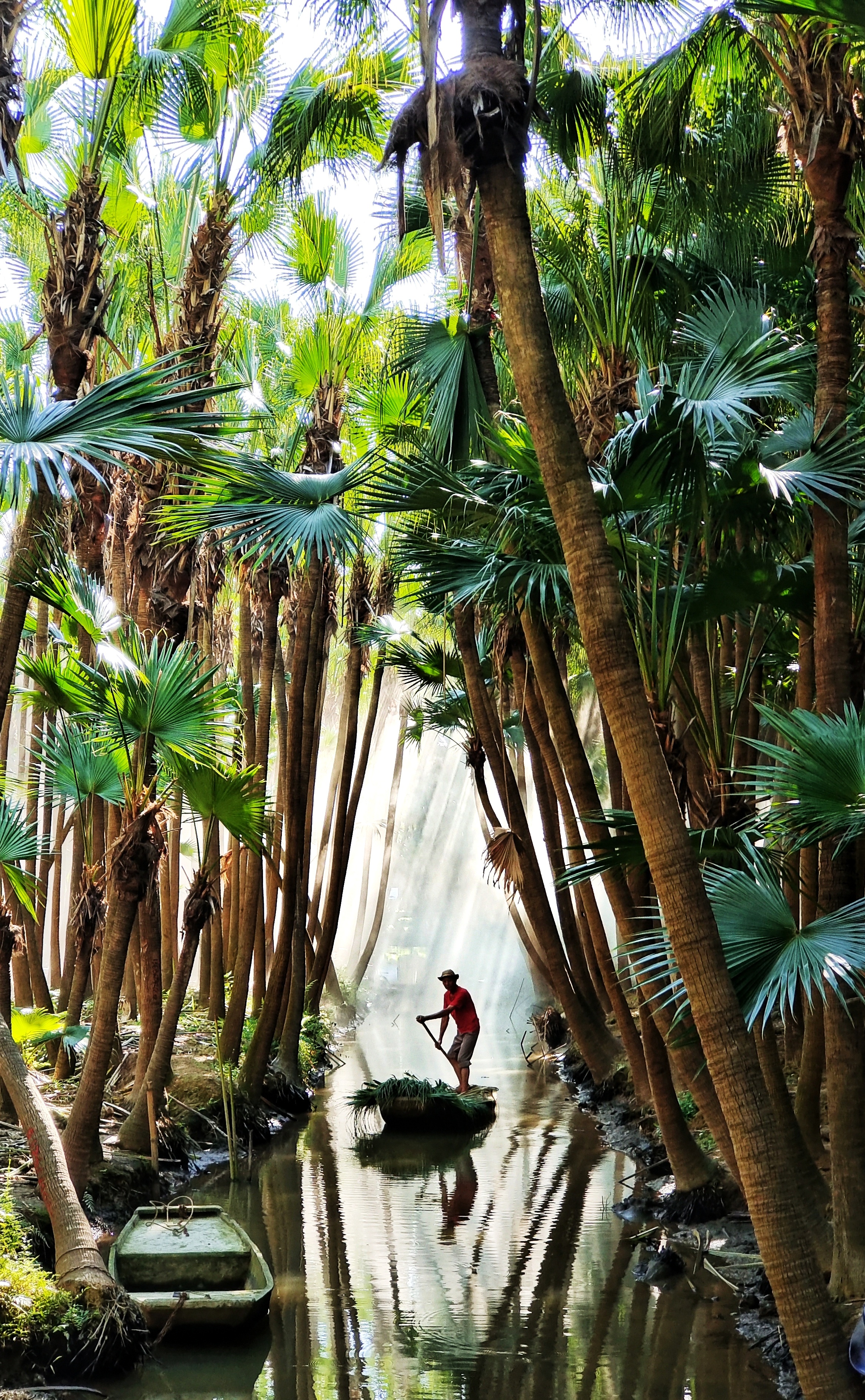 vivo2022摄影大赛,全国vivo手机摄影大赛