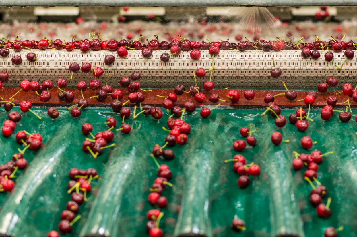 外国水果运到中国,澳洲水果出口中国