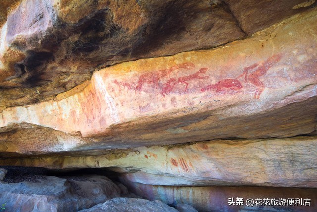 中国杨梅之乡浙江丈亭,中国杨梅之乡三洲