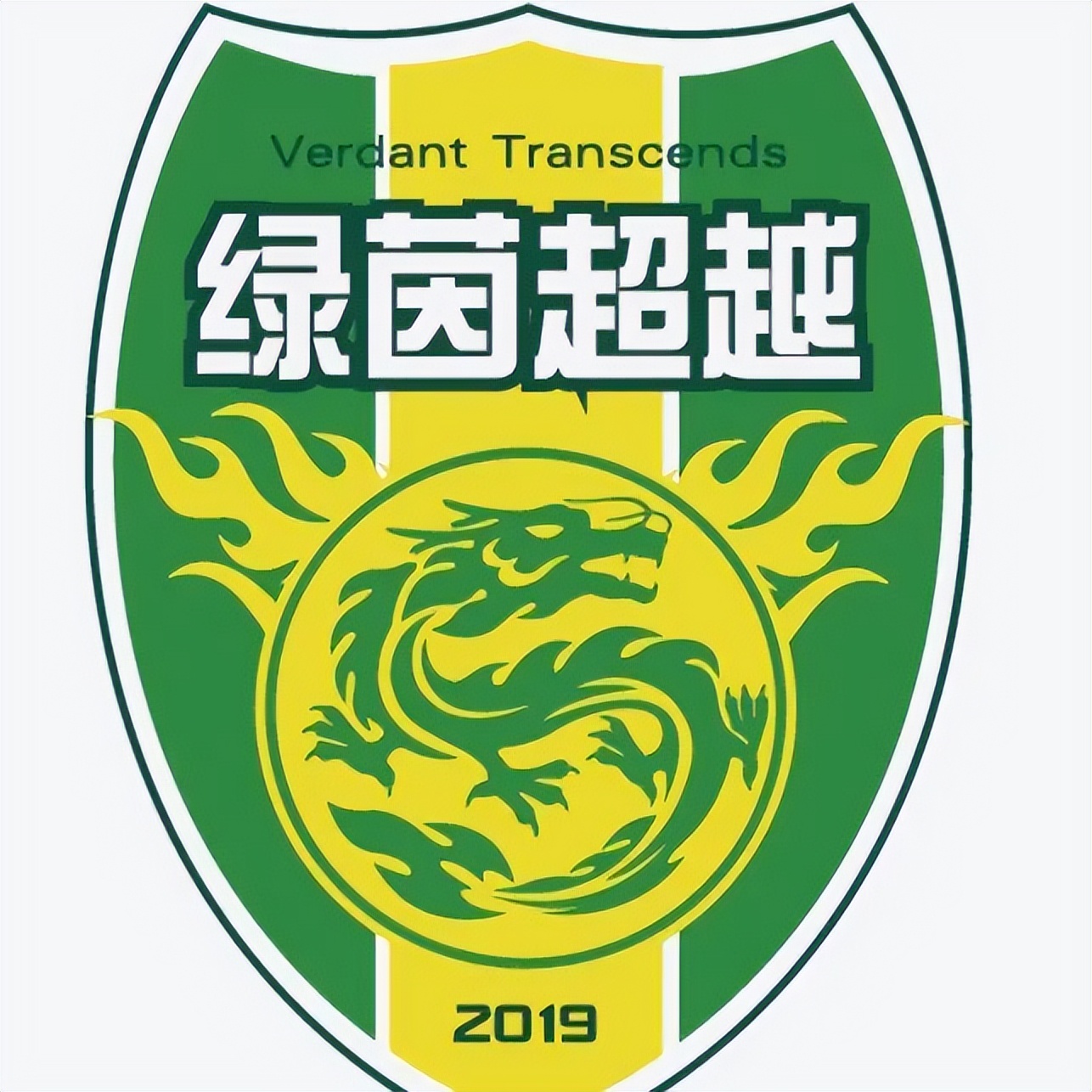 世界杯小知识让孩子了解起来,世界杯小朋友足球