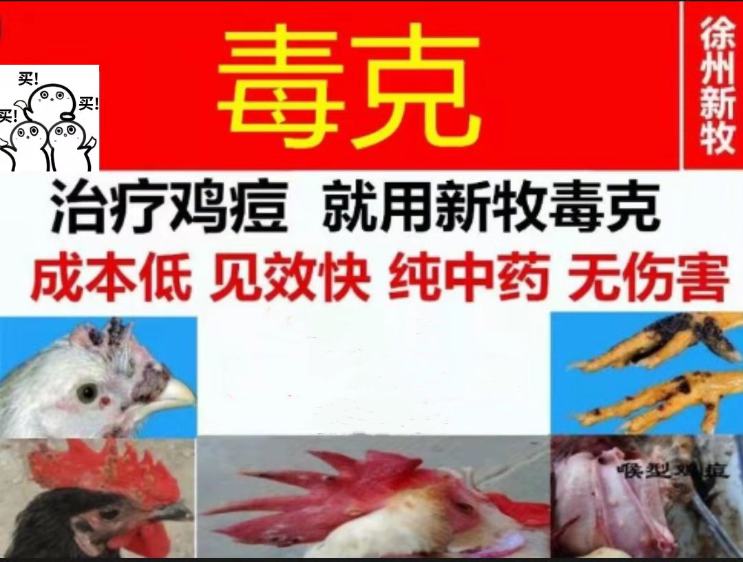 小鸡痘怎么治疗,小鸡身上有鸡痘怎么治