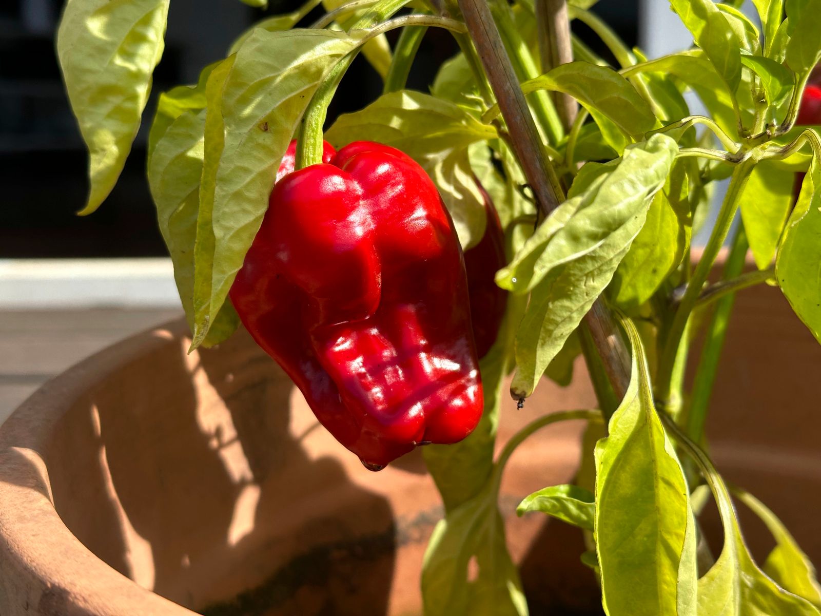 iphone14promax未来之役测试,苹果14promax分析与改进在哪里