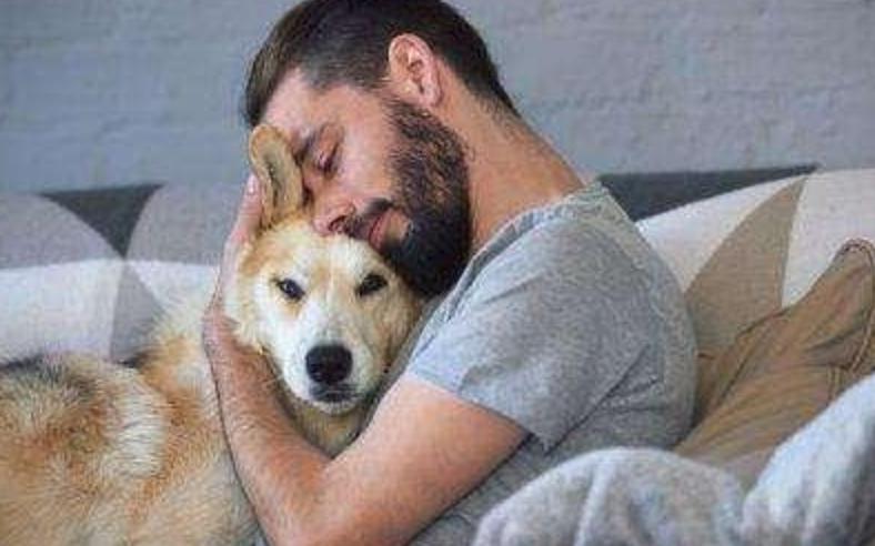 狗狗被撞受伤白发老人跪地痛哭,不小心摔倒了狗狗委屈