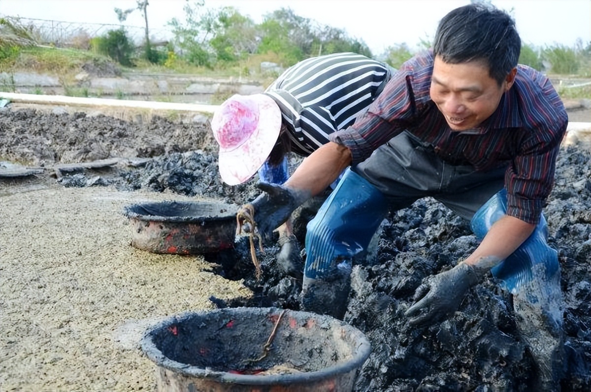 海水养殖产业发展现状调查,中国海水养殖业的发展历程