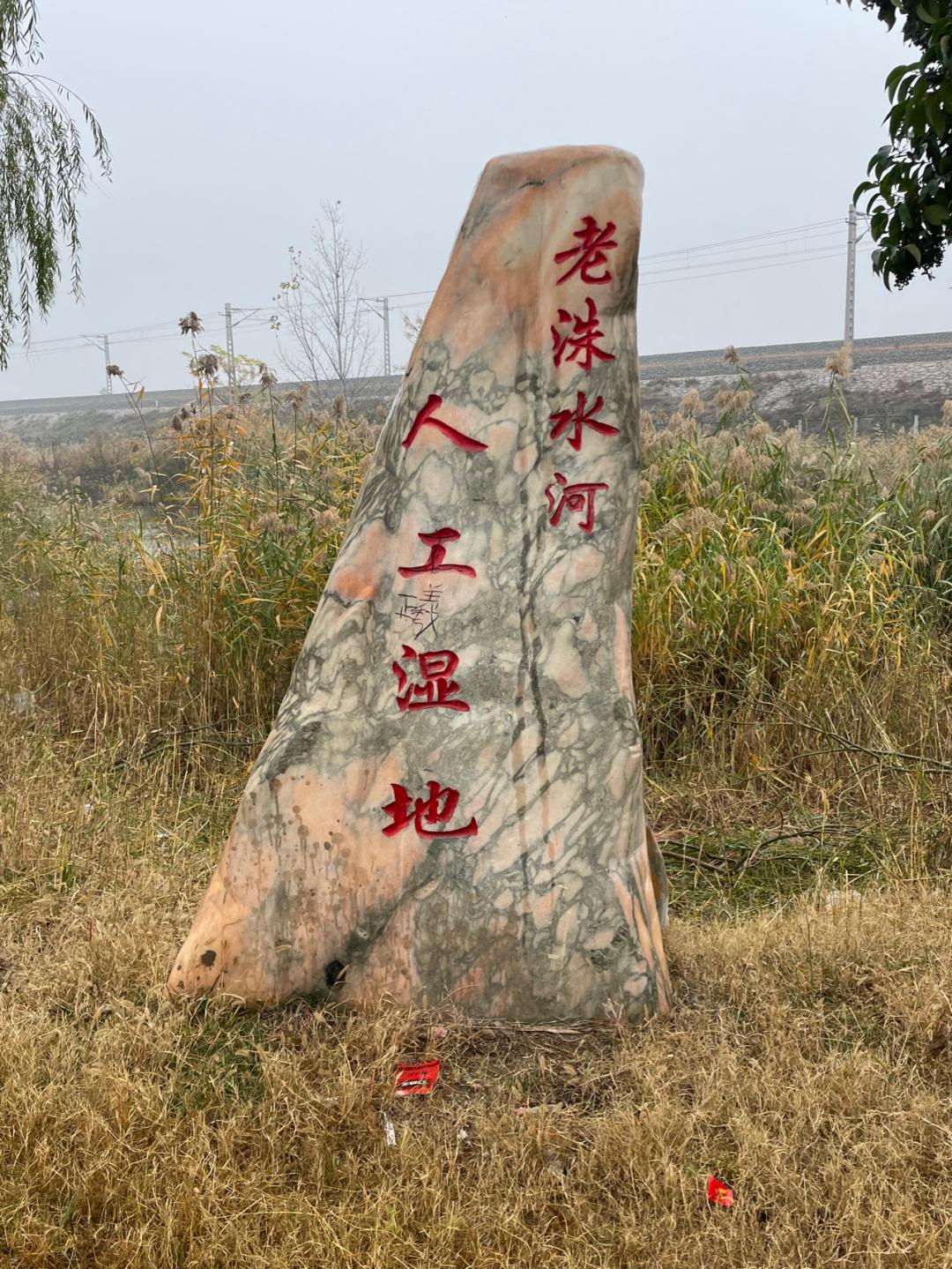 董董骑行山东,山东菏泽巨野县怎么样