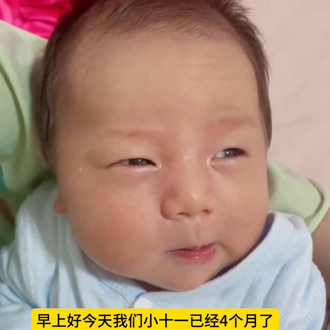 快七个月宝宝有什么表现,宝宝四个月的成长表现