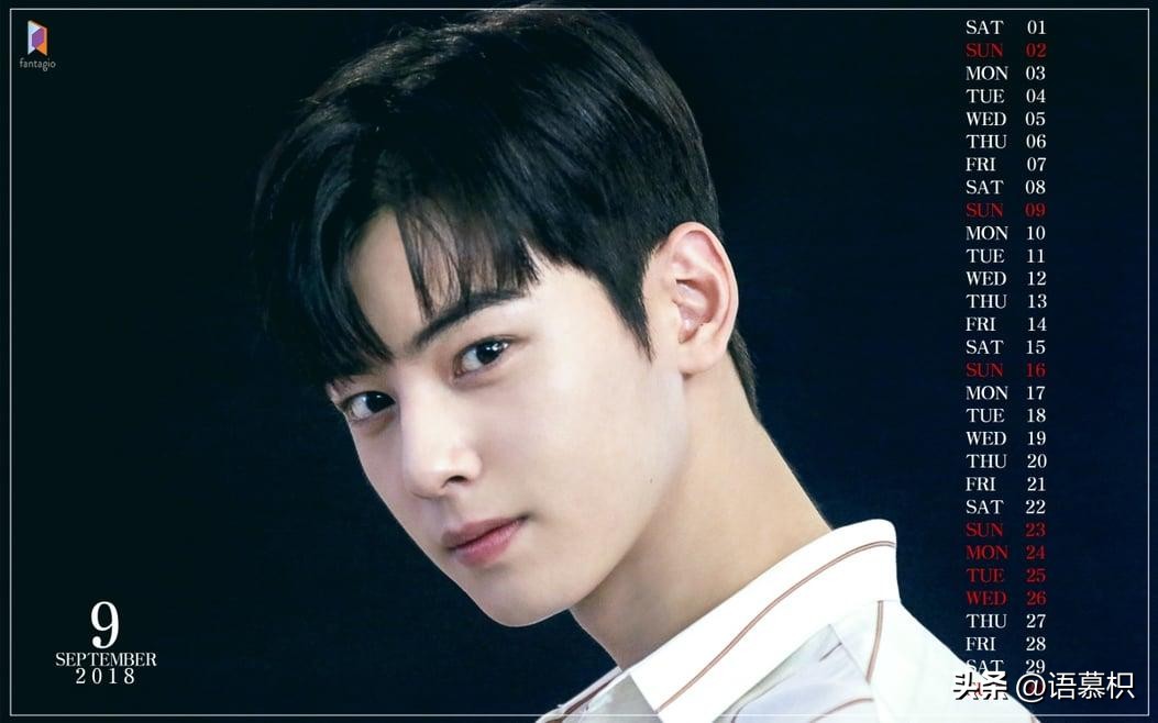 沈月车银优的节目在哪里看,车银优与沈月节目