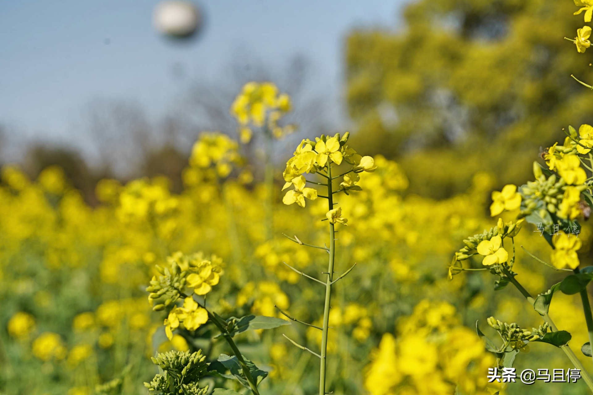 杭州五月最佳旅行地清单,四月西湖旅游攻略
