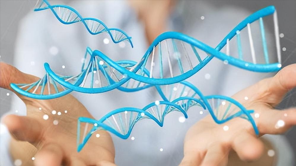 阴毛多或者少，代表了什么？医生直言：这几大作用，别视而不见