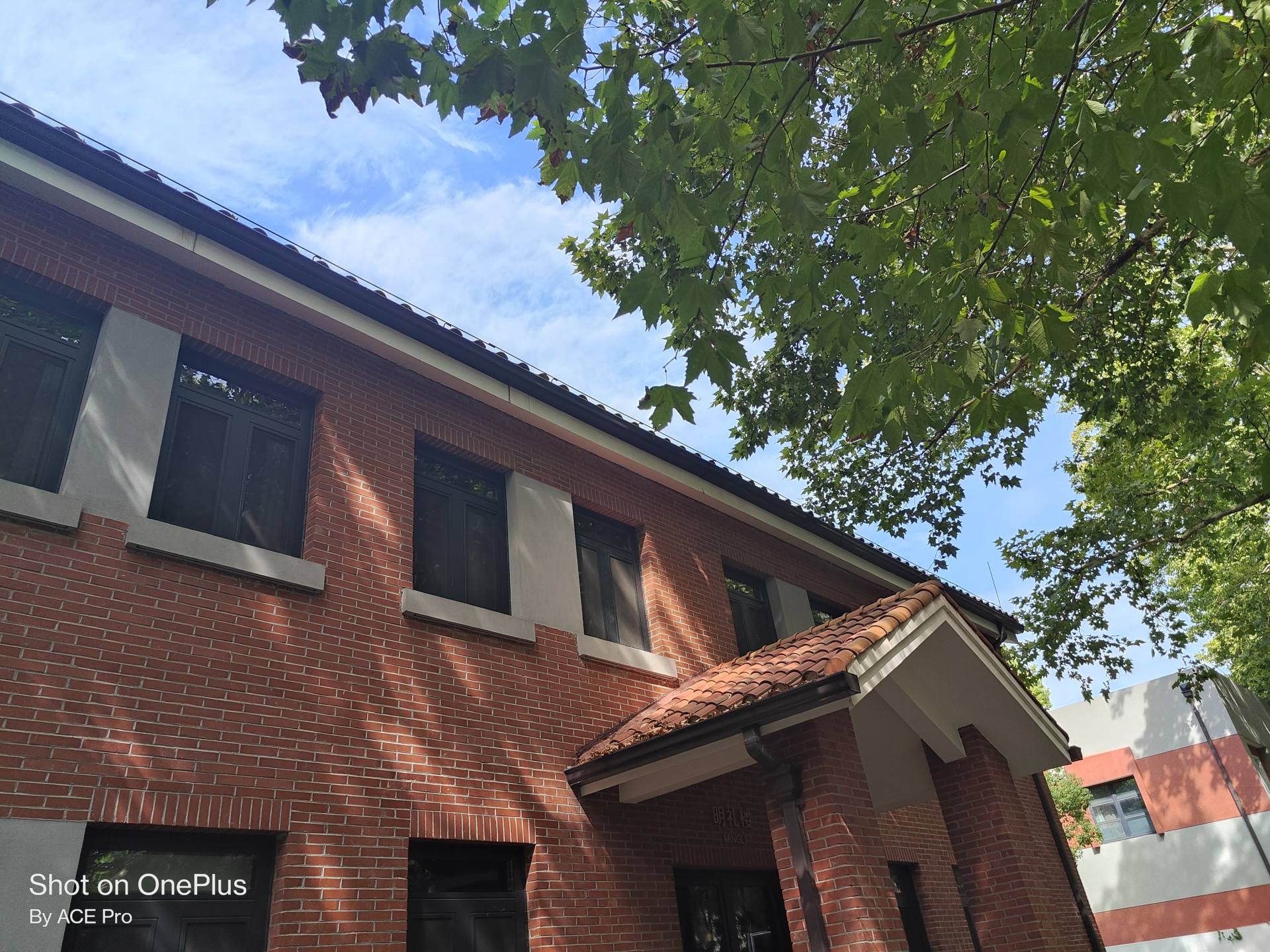 一加acepro学生,一加acepro原神评测