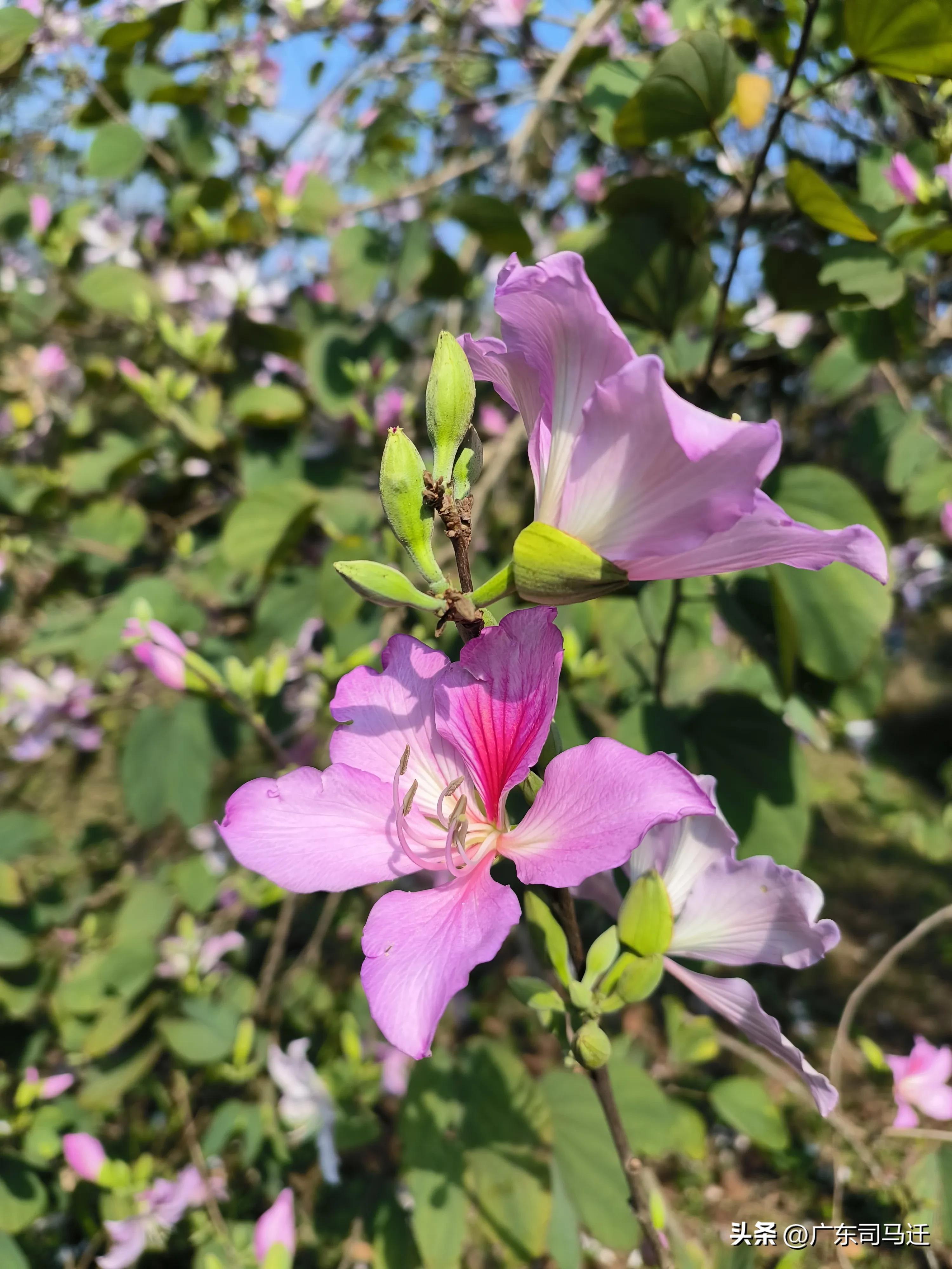 好玩的中山公园,中山公园这儿真美