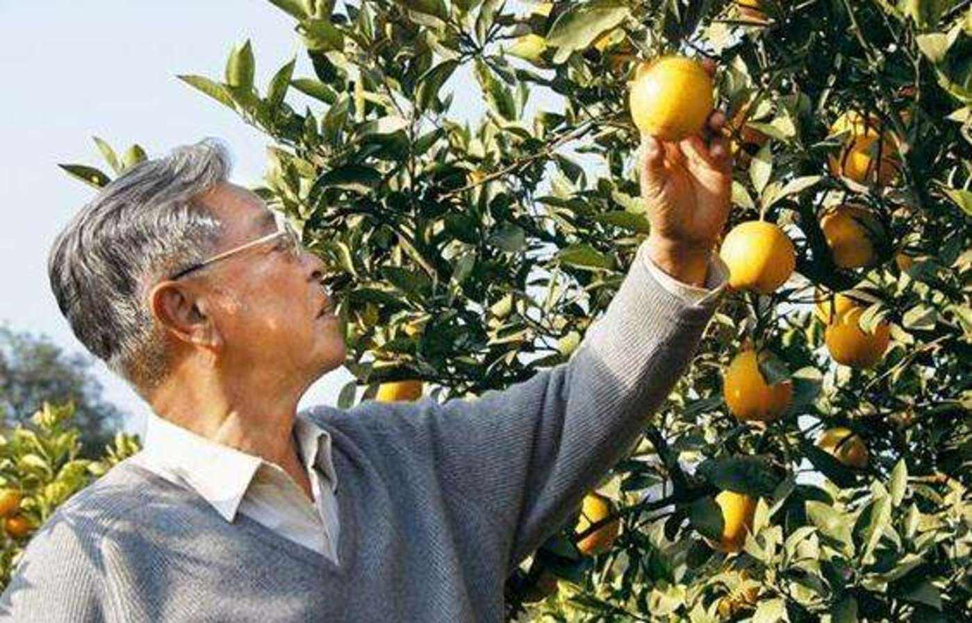 硅谷投资人纳瓦尔,纳瓦尔宝典赚钱模式