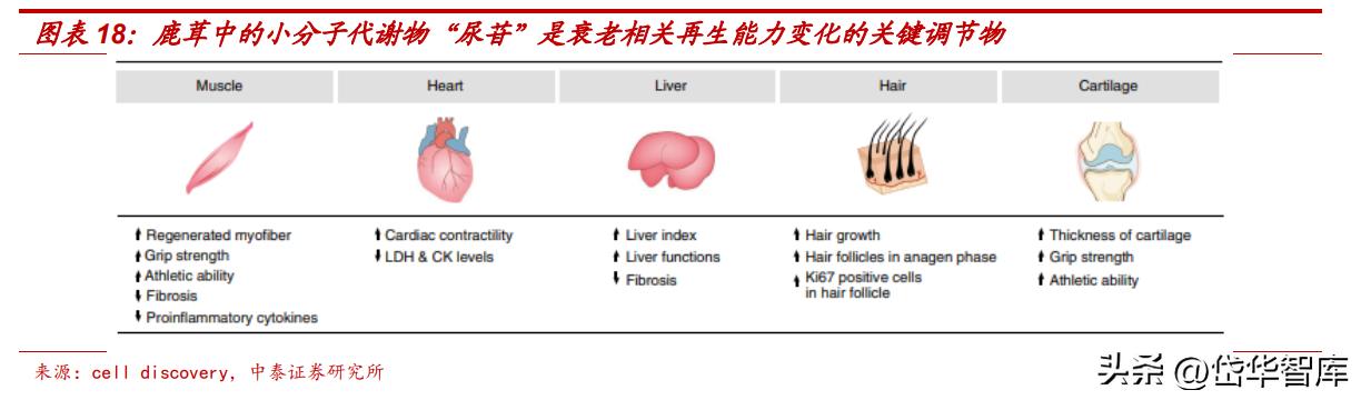吉林敖东健康科技公司怎么样,吉林敖东医药营收是多少