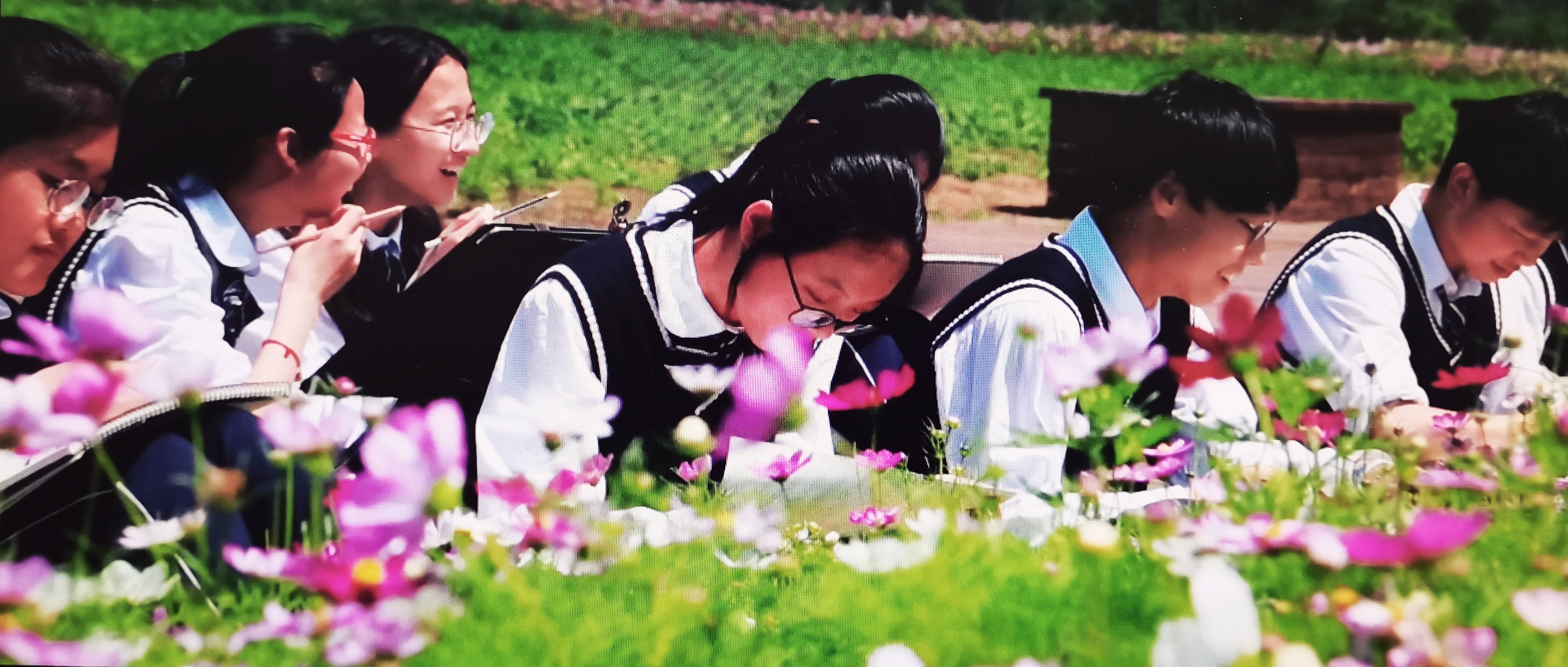 合肥市五十中东校集团振兴校区,合肥五十中东校蜀山分校电话