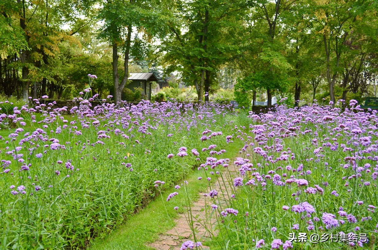 北海道上野农场,日本北海道上野农场