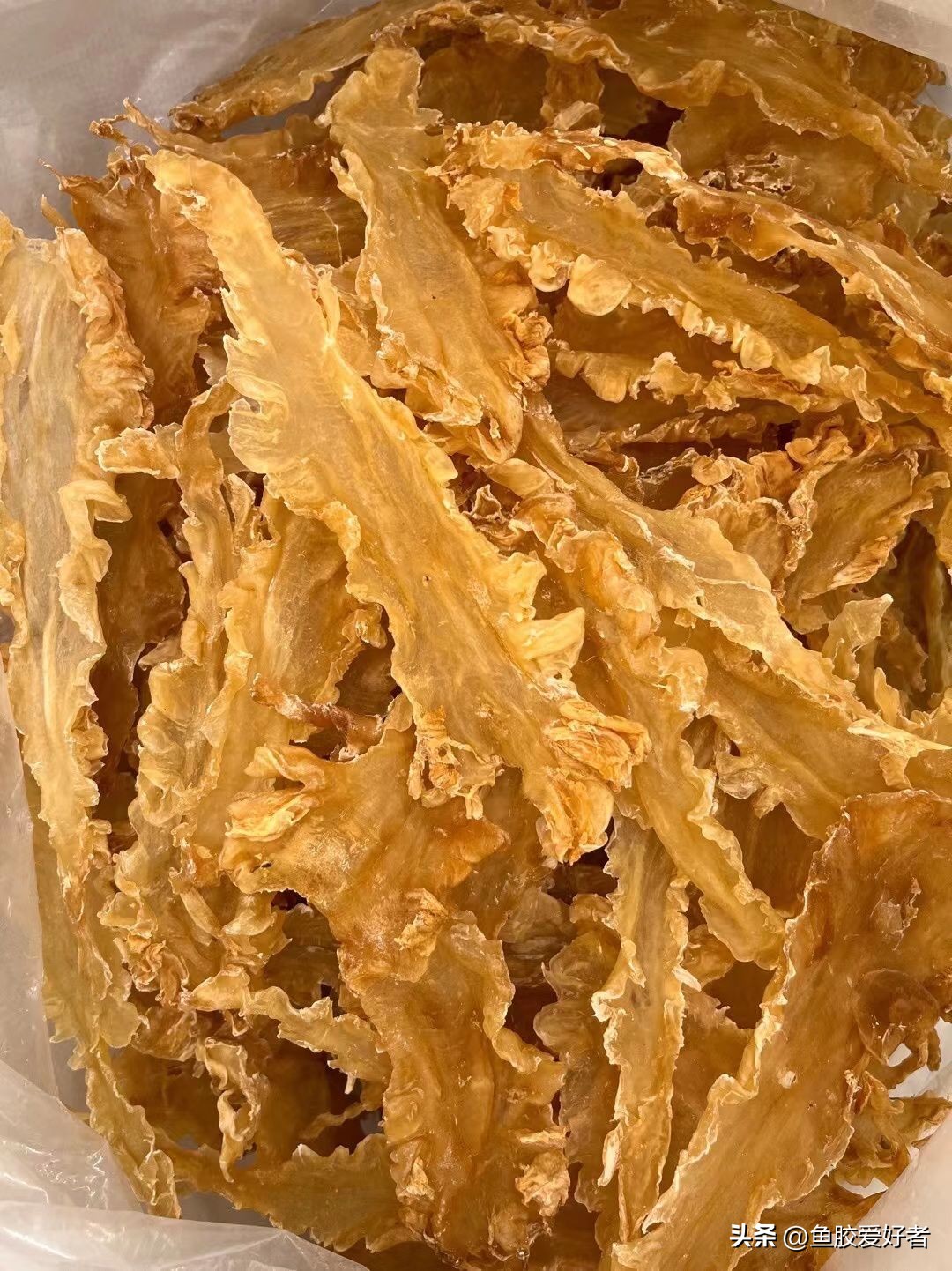 直播鱼胶攻略,直播间鱼胶推荐