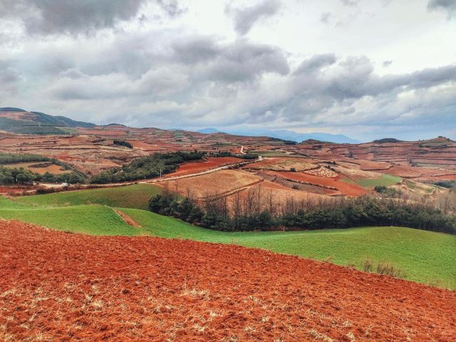 云南旅游攻略昆明旅游攻略,云南昆明旅游攻略