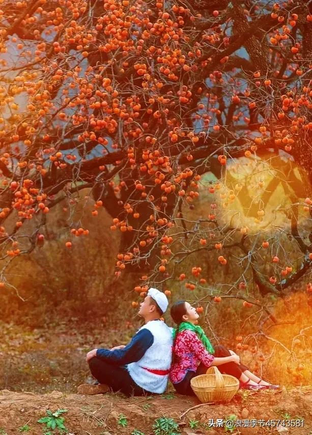 不用打字的七月再见你好八月美文,再见八月你好九月的散文