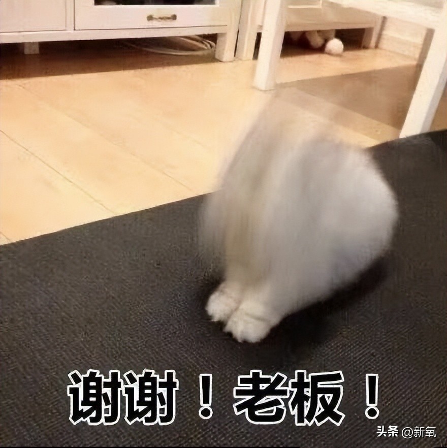 如何好好说话掌握说话技巧,日常各种经典场合的说话技巧